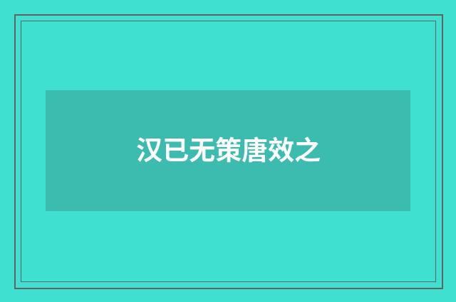 汉已无策唐效之