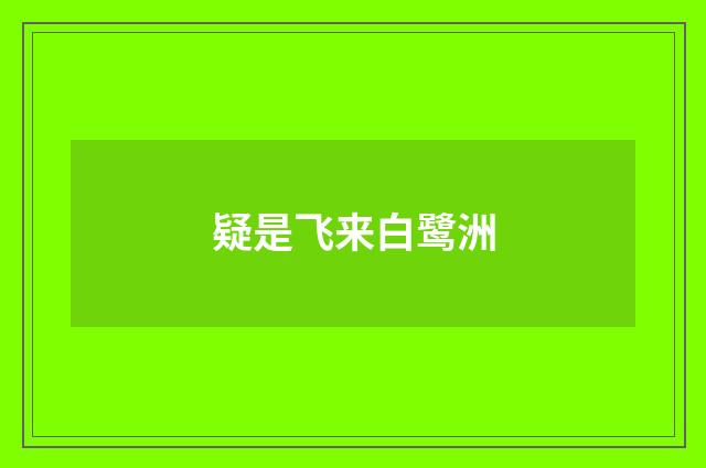 疑是飞来白鹭洲
