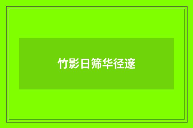 竹影日筛华径邃
