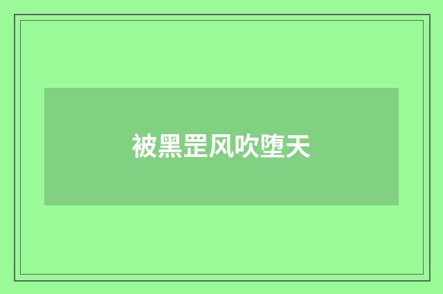 被黑罡风吹堕天