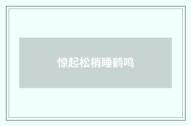 惊起松梢睡鹤鸣