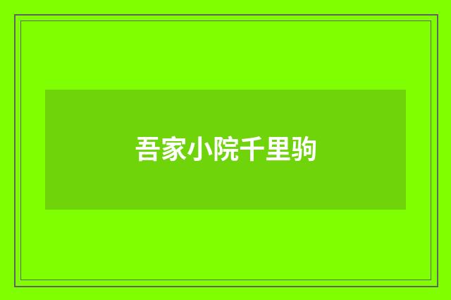 吾家小院千里驹
