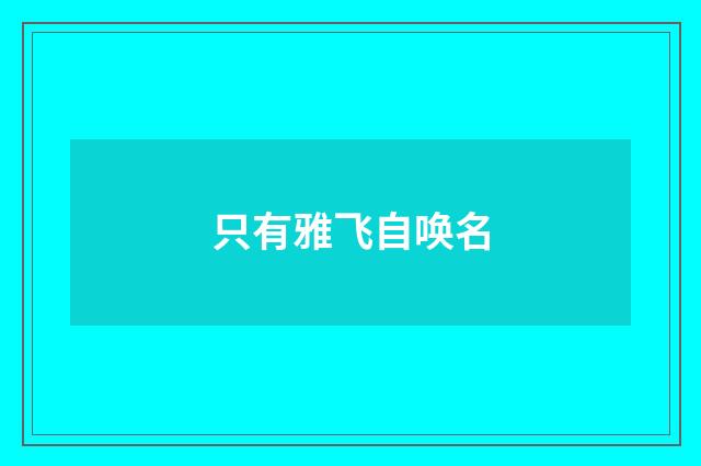 只有雅飞自唤名