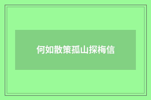 何如散策孤山探梅信