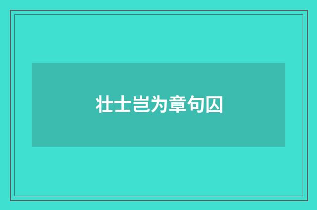 壮士岂为章句囚