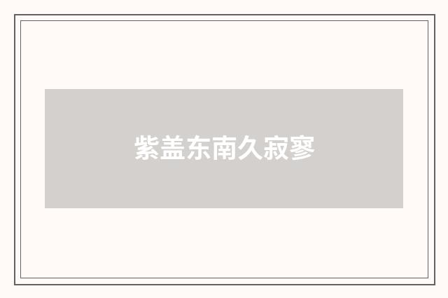 紫盖东南久寂寥