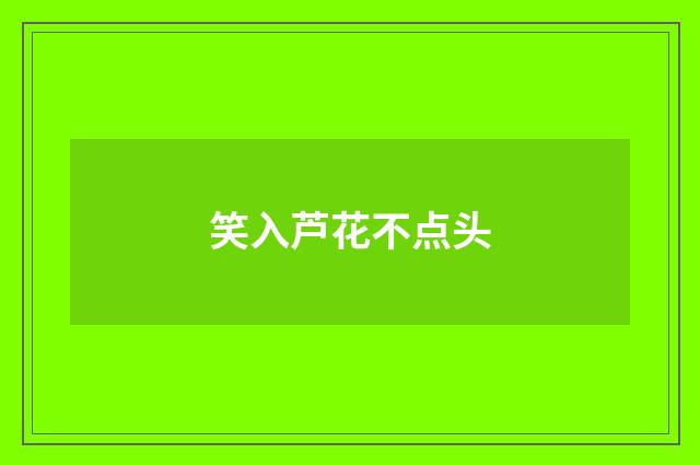 笑入芦花不点头