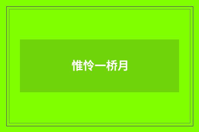 惟怜一桥月