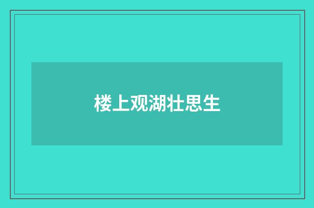 楼上观湖壮思生