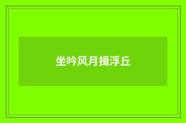 坐吟风月揖浮丘