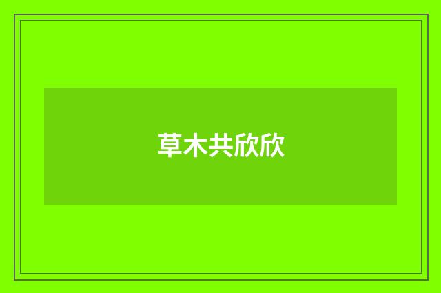 草木共欣欣