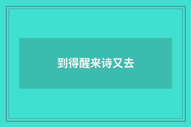 到得醒来诗又去