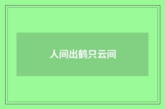 人间出鹤只云间