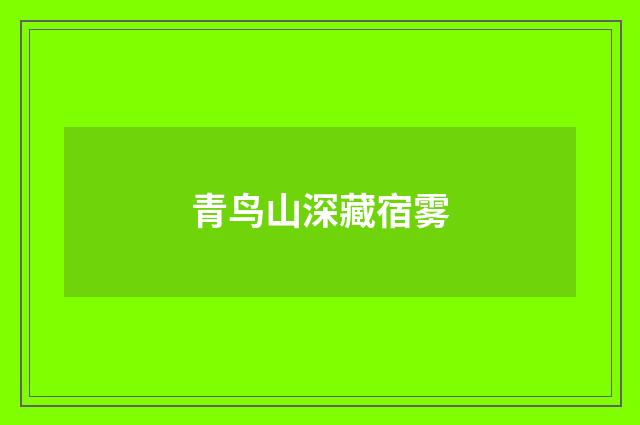 青鸟山深藏宿雾