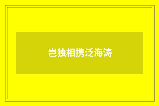 岂独相携泛海涛