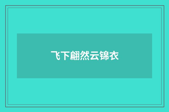 飞下翩然云锦衣