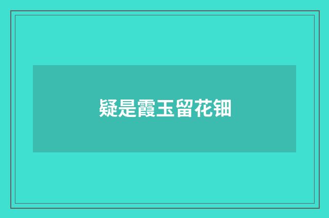 疑是霞玉留花钿