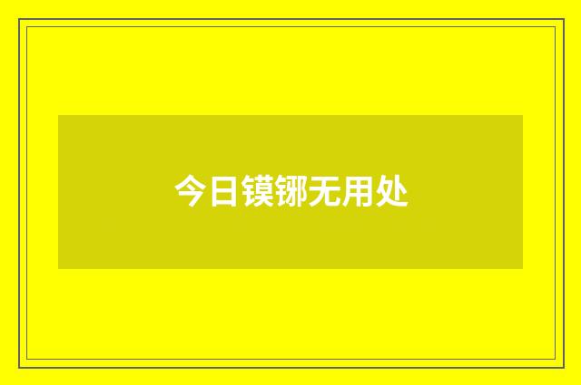今日镆铘无用处