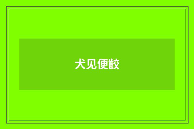 犬见便齩