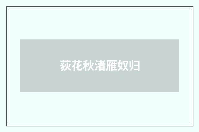 荻花秋渚雁奴归