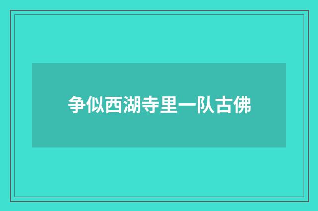 争似西湖寺里一队古佛
