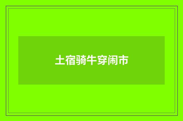 土宿骑牛穿闹市