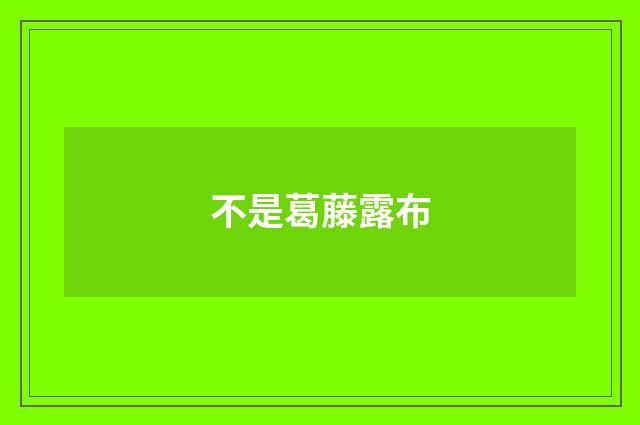 不是葛藤露布