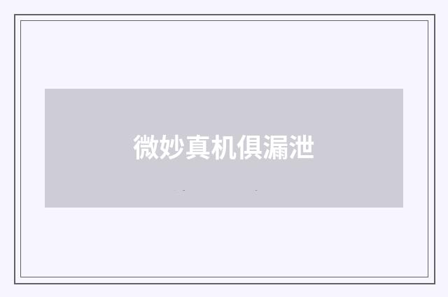 微妙真机俱漏泄