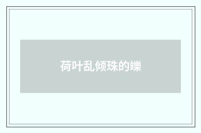 荷叶乱倾珠的皪