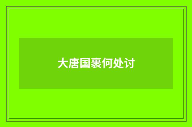 大唐国裹何处讨
