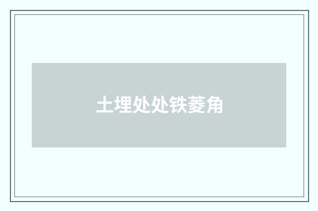 土埋处处铁菱角