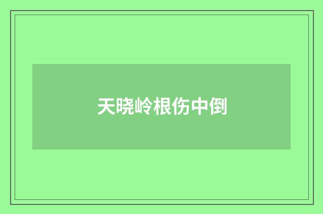 天晓岭根伤中倒