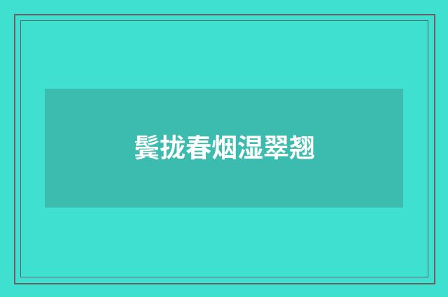 鬓拢春烟湿翠翘