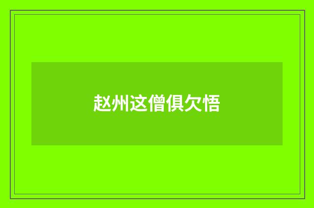 赵州这僧俱欠悟