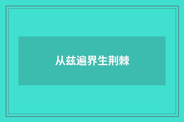 从兹遍界生荆棘