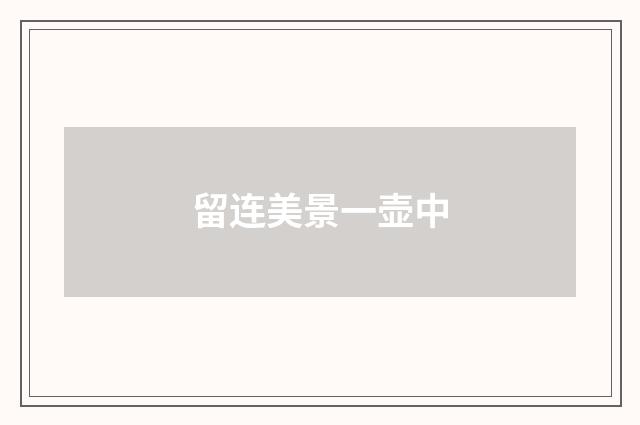 留连美景一壶中