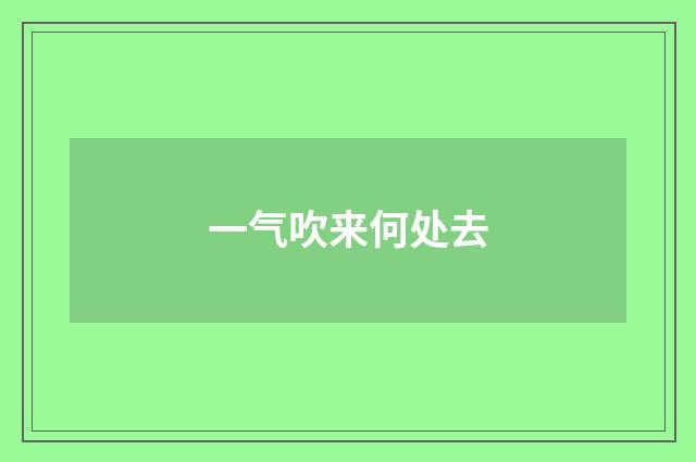 一气吹来何处去