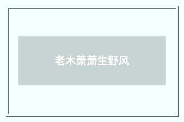 老木萧萧生野风