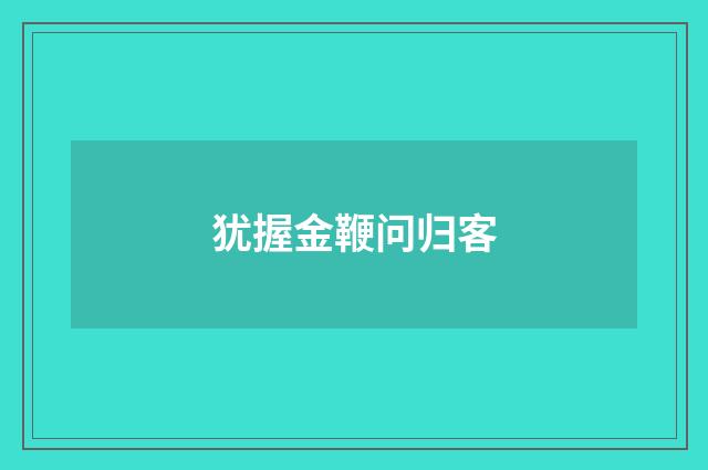 犹握金鞭问归客