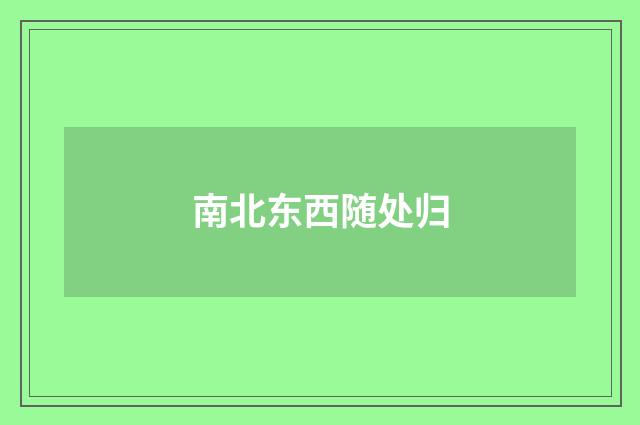 南北东西随处归