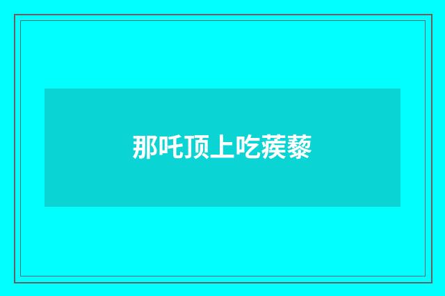 那吒顶上吃蒺藜