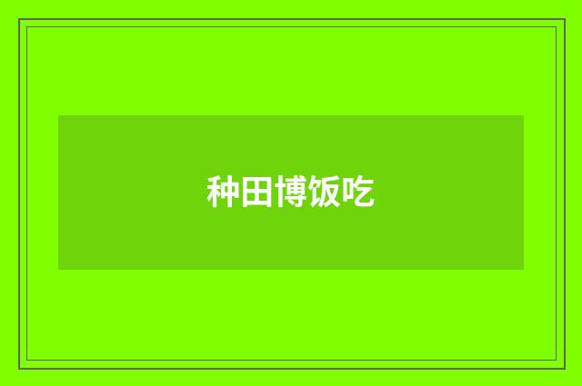 种田博饭吃