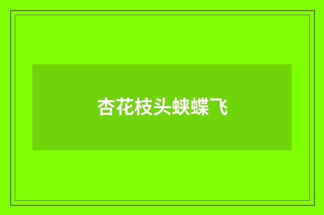 杏花枝头蛱蝶飞