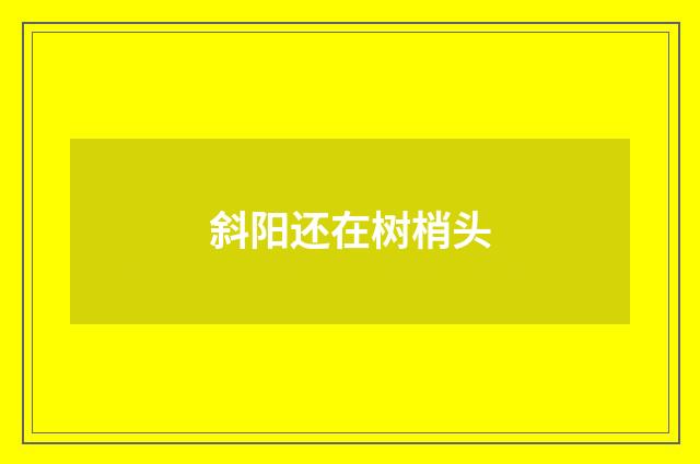 斜阳还在树梢头