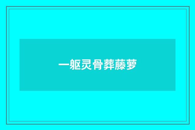 一躯灵骨葬藤萝