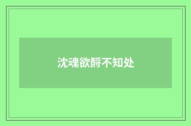 沈魂欲酹不知处