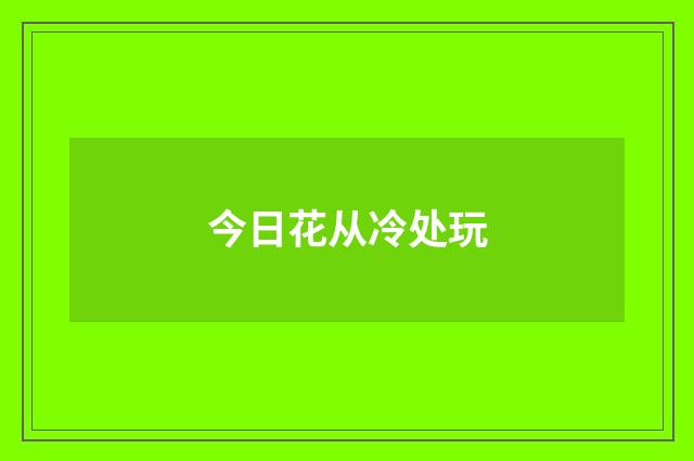 今日花从冷处玩