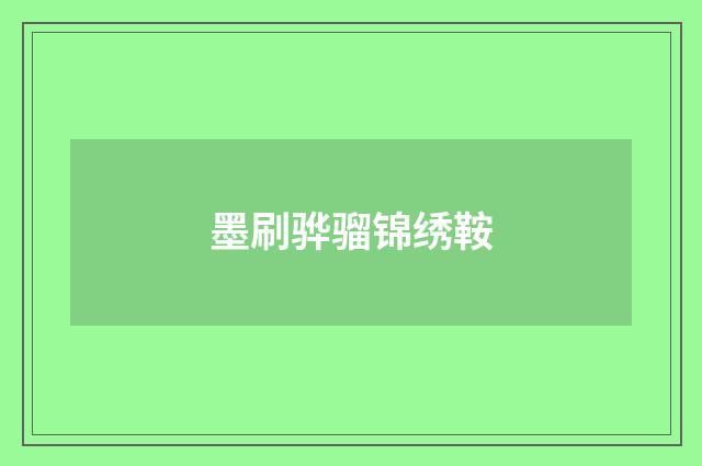 墨刷骅骝锦绣鞍