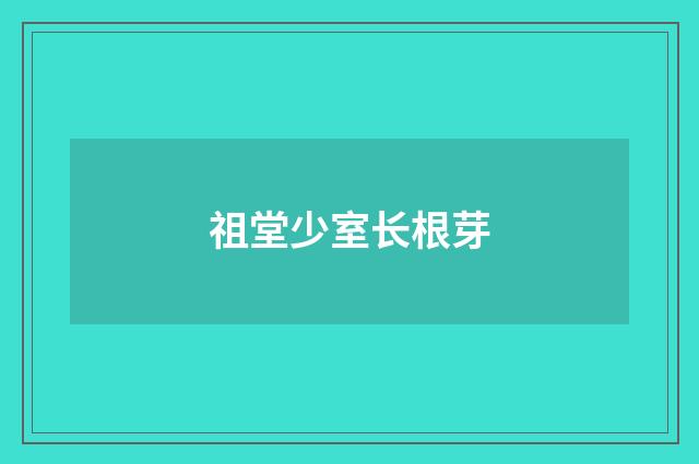 祖堂少室长根芽