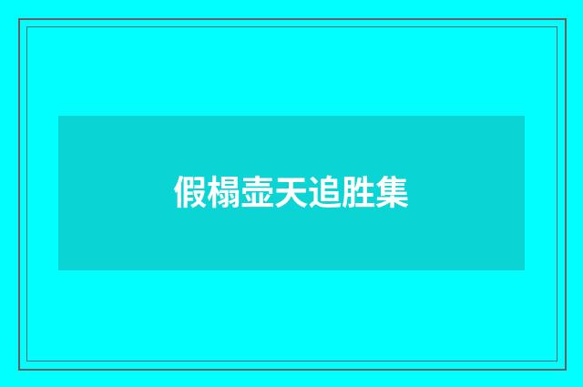假榻壶天追胜集